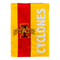 Iowa State Mixed-Material Embellished Appliqu?ouse Flag