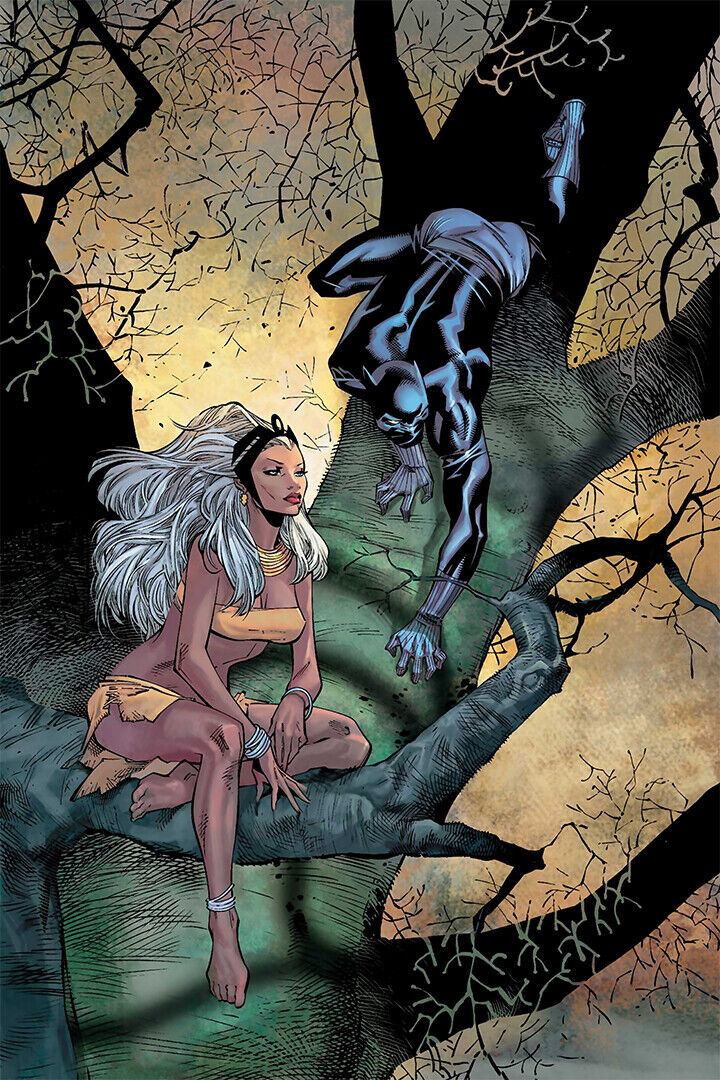 Black Panther And Storm Comic Book Poster Wall Art Print Home Wall Decor
