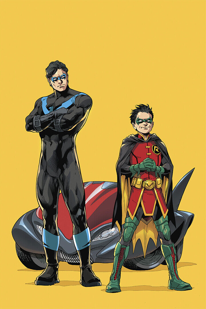 Nightwing And Robin Rebirth Poster Wall Art Print Home Wall Decor