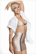 Alecia Beth Moore Pink Pink Music Singer Star Poster Wall Art Print Home Wall Decor