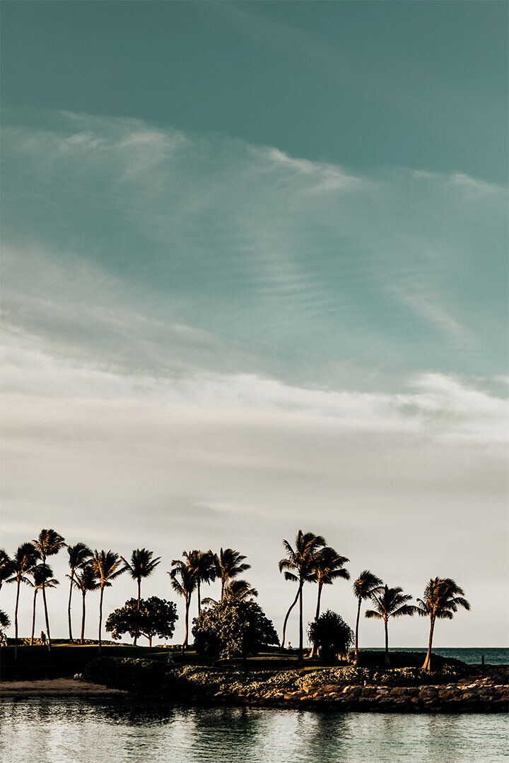 Mount Mouaroa And Palm Trees Landscape Poster Wall Art Print Home Wall Decor