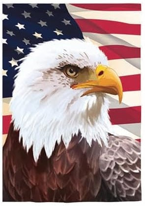 American Eagle 2 Sided Banner