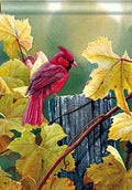 Grapevine Cardinal Flag 2 Sided House Banner