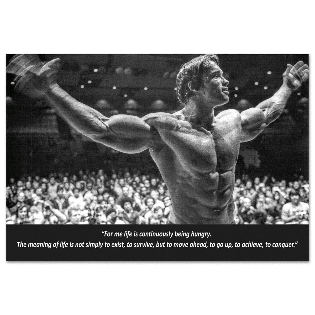 Arnold Schwarzenegger Motivational Poster ‚Äî Iconic Print | Gym Inspirational Wall Art
