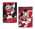 Wisconsin Badgers Garden Flag 2 Sided Disney Mickey Mouse