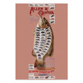 Allen & Ginter American Fish ‚Äî Vintage 1890s Advertising Poster | Fishing Wall Art