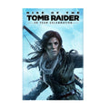 Rise of the Tomb Raider Poster ‚Äî 20 Year Celebration Art Print | Lara Croft Gaming Wall Art